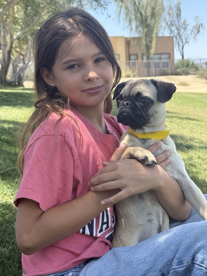 A young volunteer holding a pug in the park
