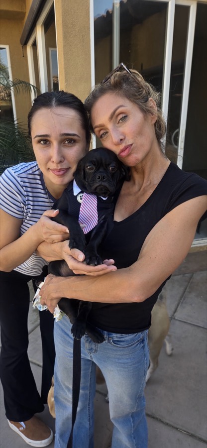 Legacy Healing Foundation team and volunteers with a rescued dog