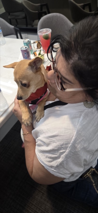Legacy Healing Foundation team and volunteers with a rescued dog