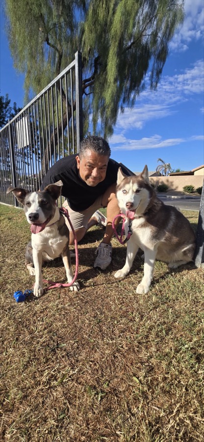 Legacy Healing Foundation team and volunteers with a rescued dog