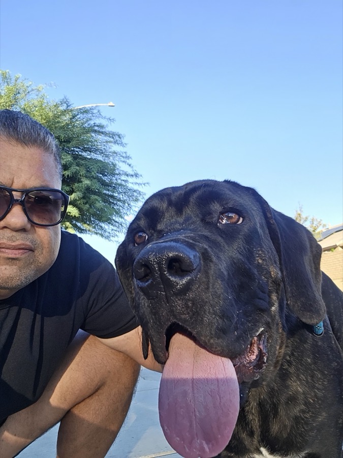 Legacy Healing Foundation team with rescued dogs