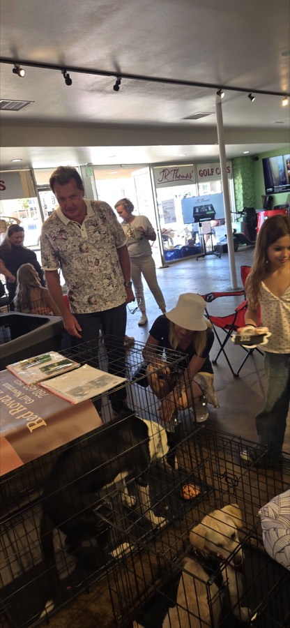 Legacy Healing Foundation team with rescued dogs